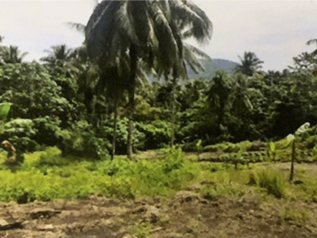 Dijual Tanah Kavling Molas, Manado 43.225 m2