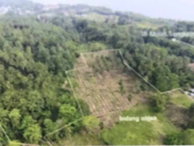1.241.994 m2 Plot of Land For Sale at Molas Manado