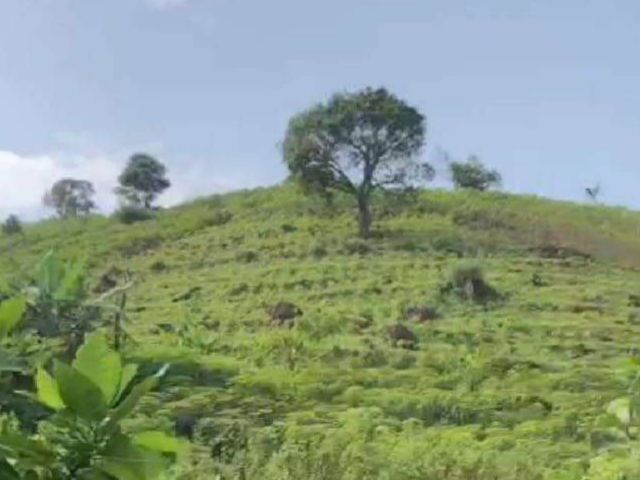 Tanah Kavling Sentul, Bogor 992.800 m2